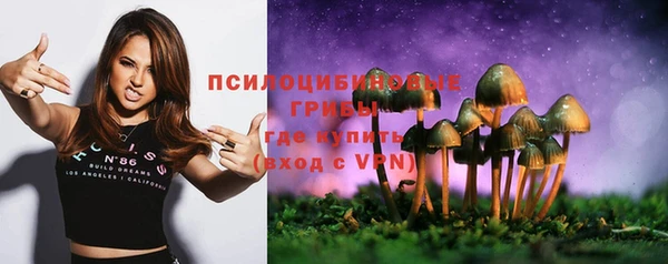 герыч Алексин