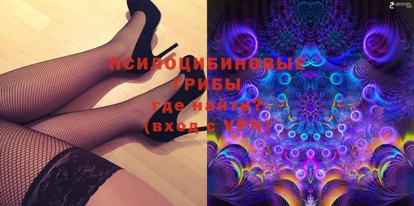 герыч Алексин