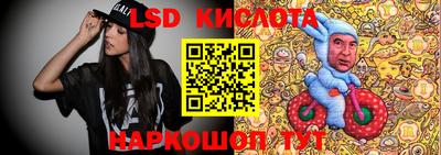 гашик Славгород