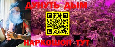 гашик Славгород