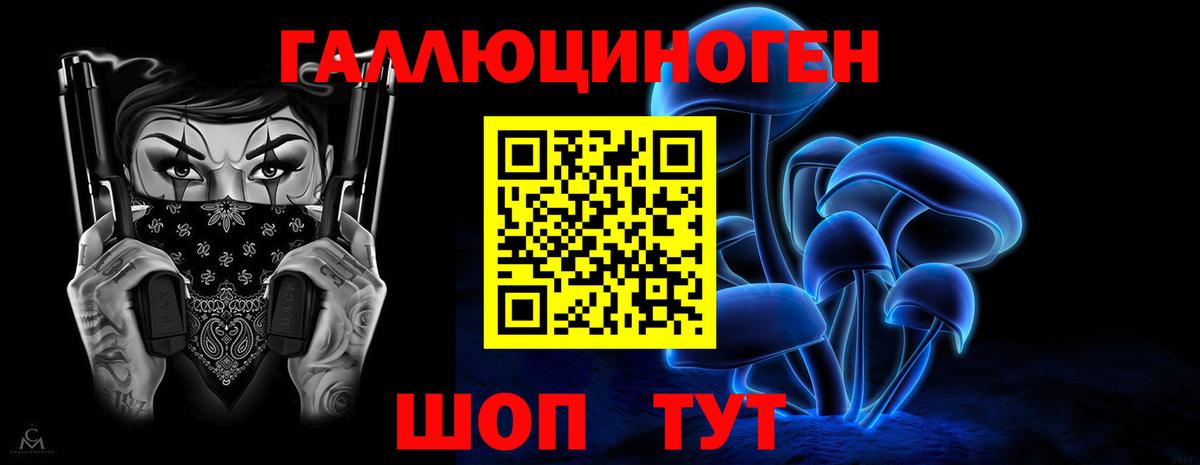 Санкт-Петербург  Псилоцибиновые грибы MAGIC MUSHROOMS  Вход с VPN  Галлюциногенные грибы Psilocybe 
