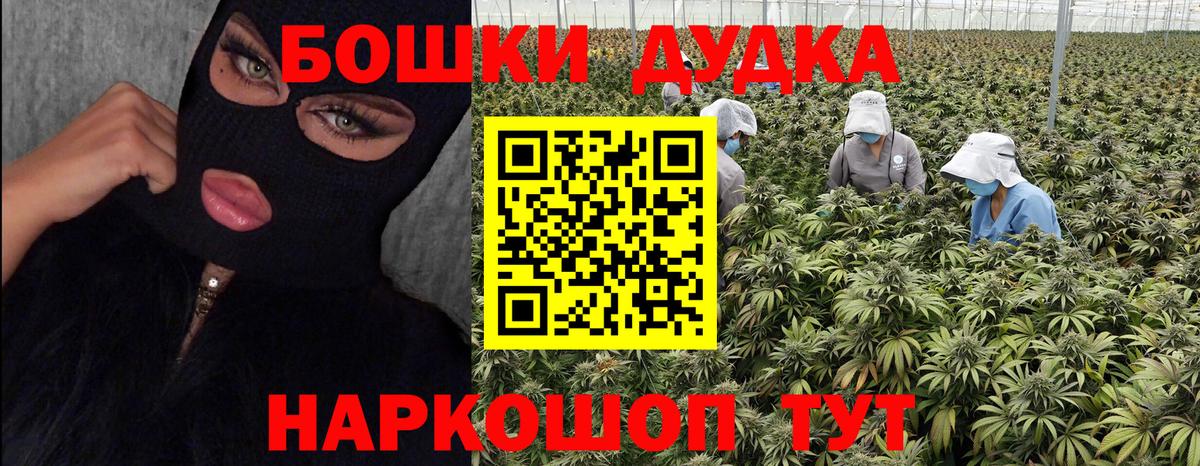 Шишки марихуана планчик Санкт-Петербург